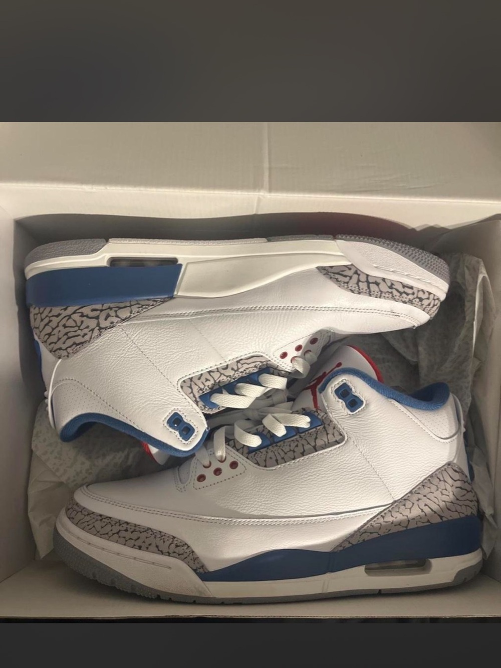 Air Jordan retro 3 “true blue “